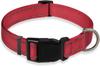 Collar reflectante para perros de Amazon con collar de nailon de seguridad ajustable y cuerda de tracción para mascotas, adecuado para tamaños pequeños y medianos.