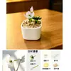 Vaso de flor esmaltado Zibo, ornamento de flor de vidro para suculentas, planta verde, buquê de flores artificiais de presente para dezembro, decoração de mesa