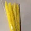 Fábrica de fornecimento de junco buquê de flores secas Tanabata Dia dos Namorados com decoração de flores para casa Natal DIY flor 10 palitos