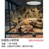 Césped Artificial para Terrarios de Reptiles, Decoración de Tanque Desértico, Vegetación de Micro-Paisaje, Césped Artificial para Tanque de Selva Tropical, Càlamo