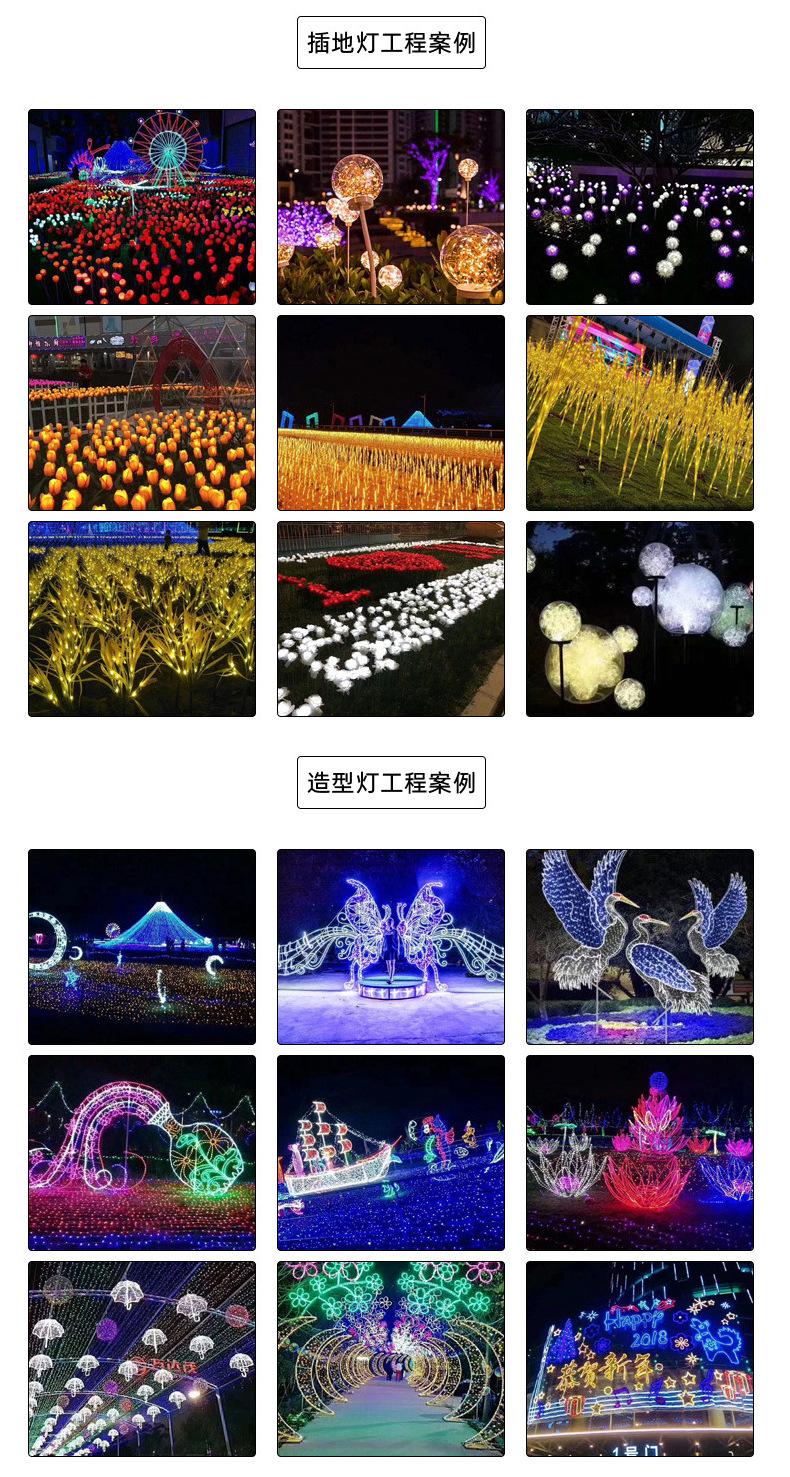 芦苇_10