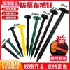 Clavos para Tela Anti-Hierba, Clavos para Tela de Control de Malezas, Clavos Negros de Plástico para Suelo de Huerto, Clavos para Film Mulch de Invernadero, Fabricante de Clavos para Suelo de Jardinería