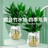 Planta hidropónica de bambú Guan Yin con raíces, planta verde decorativa, bambú de la suerte, planta verde, planta de interior en maceta, bambú de la fortuna con jarrón, fácil de cuidar