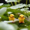 Micropaisaje de musgo, adornos de plantas suculentas, pequeños adornos de pato amarillo de pie, materiales de bricolaje