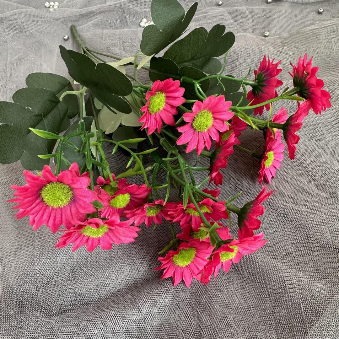 邹菊把玫红色