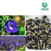 Xi'An Tianben Sc Fabricante Flor de Clitoria Ternatea em Pó Totalmente Solúvel em Água Pó Cru Corante Natural de Grau Alimentício Atacado em Estoque