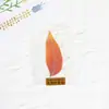 Planta Especimen Sellada Plásticamente Especimen de Planta Herramienta de Enseñanza para Niños de Jardín de Infancia Marcador de Flor Seca Tarjeta con Relieve de Hoja Real