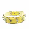 Rhdwish Joyería Creativa Europea y Americana Estilo Punk Collar de Cuero de Doble Capa Dorado