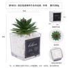 Simulación de Guanyinlian verde militar carnoso en maceta adornos de escritorio regalo mini bonsái verde planta de simulación TEMU