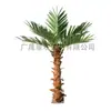 Palmera de fibra de vidrio artificial personalizada, cuadrada, para reverdecer el aeropuerto, parque de atracciones, proyecto de paisajismo municipal, palmera artificial