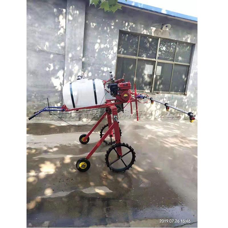 11722789652_1409016637