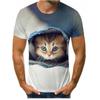 2024 verano nuevo animal lindo patrón de gato impresión digital 3D tendencia de moda cuello redondo camiseta para hombre y mujer