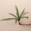 Samambaias Samambaia Persa Samambaia Folha Persa Plantas Verdes Decoração de Casamento Projeto de Decoração de Casa Design de Paisagem Folha de Samambaia
