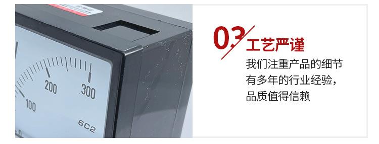乐清市蜀隆仪表厂xq_07