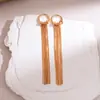 Pendientes de borla de cadena de serpiente redonda de aguja de plata transfronterizos europeos y americanos, Pendientes de temperamento de moda exagerados, Pendientes de lujo ligero de alta gama para mujer