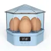 Incubadora Totalmente Automática Incubadora Casera para Niños Incubadora Pequeña para Huevos de Gallina Aislamiento Rutinario Temperatura Constante Huevo Inteligente
