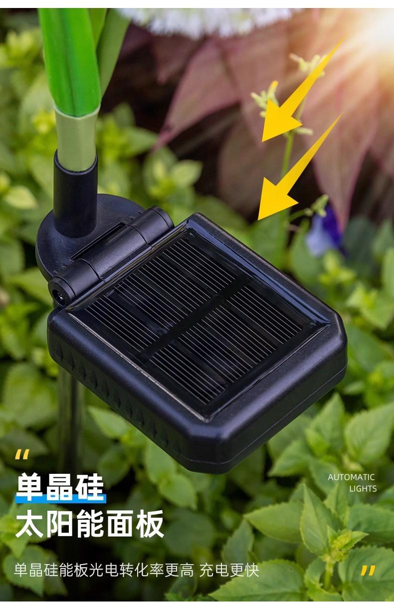 O1CN01KbaGQJ1DQDwZelT9C_!!2207