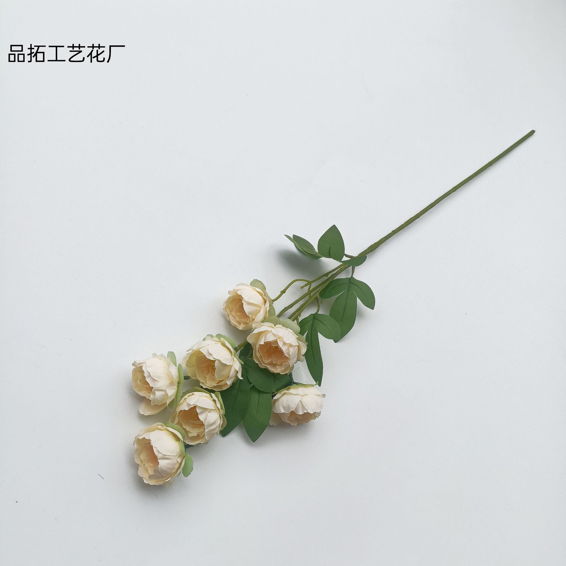 6e2952799a799415df619eb559c227