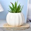 Vaso de Flores Cerâmico Branco Simples Criativo Vaso de Porcelana Branca Dehua Mini Suculenta Orquídea Phalaenopsis Pequeno Vaso Decorativo