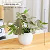 Flores Artificiais Pequenos Enfeites Vasos Árvore da Fortuna de Mesa Plantas Verdes Artificiais Decoração de Flores Artificiais para Escritório Sala de Estar Plantas Biônicas