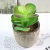 Venda Direta do FabricanteMiniatura de Suculentas para PaisagismoPlantas Suculentas Bonsai, Suculentas Artificiais, Plantas Artificiais Estilo Vintage 28