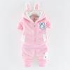 Conjunto de ropa de otoño e invierno para niños y niñas de 0 a 5 años, de seda de leche, con relleno de terciopelo, informal, para bebés y hombres, dos piezas, 2