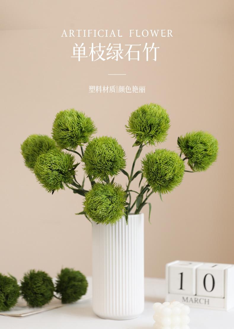 单枝绿石竹_01.jpg