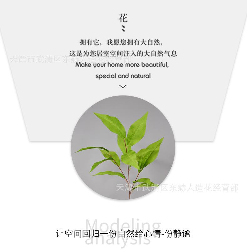 详情_06.png