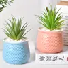 Vaso de Flor Suculenta Combinação de Cerâmica Vaso de Planta Cacto Tamanho de Polegar Suculenta Jardinagem Colmeia Planta Verde Feito à Mão Dehua