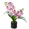 Flores Artificiales con 10 Flores y 6 Frutas, Planta en Maceta de Orquídea Phalaenopsis, Flor Artificial Creativa, Bonsái de Flor Artificial a la Moda, Adorno para Decoración del Hogar