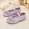 Zapatos de Princesa de Cristal Multicolor para Niñas para Salidas Diarias y Ocasiones Formales, Zapatos de Salón Estilo Dulce con Flores de Pedrería de Colores y Correas de Velcro