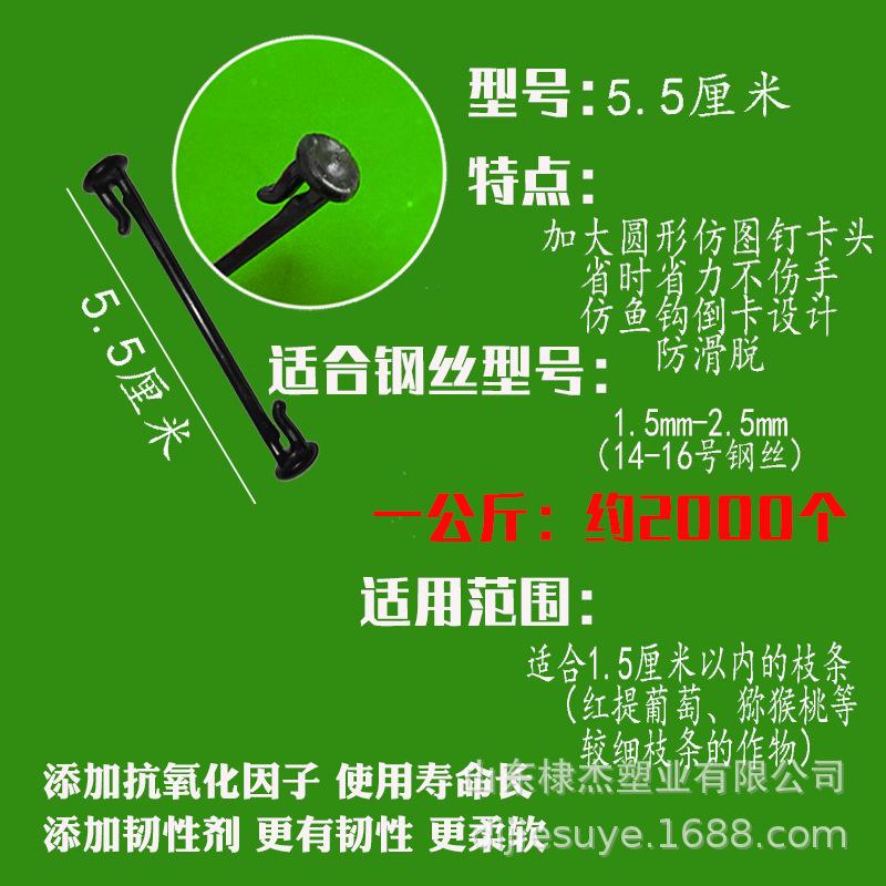 规格图5