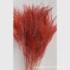 Lu Xuan Grama Flor Seca Flor Eterna Estilo Europeu Criativo Combinando Ornamentos Amor Adereços de Casamento Fotografia Celebração de Casamento