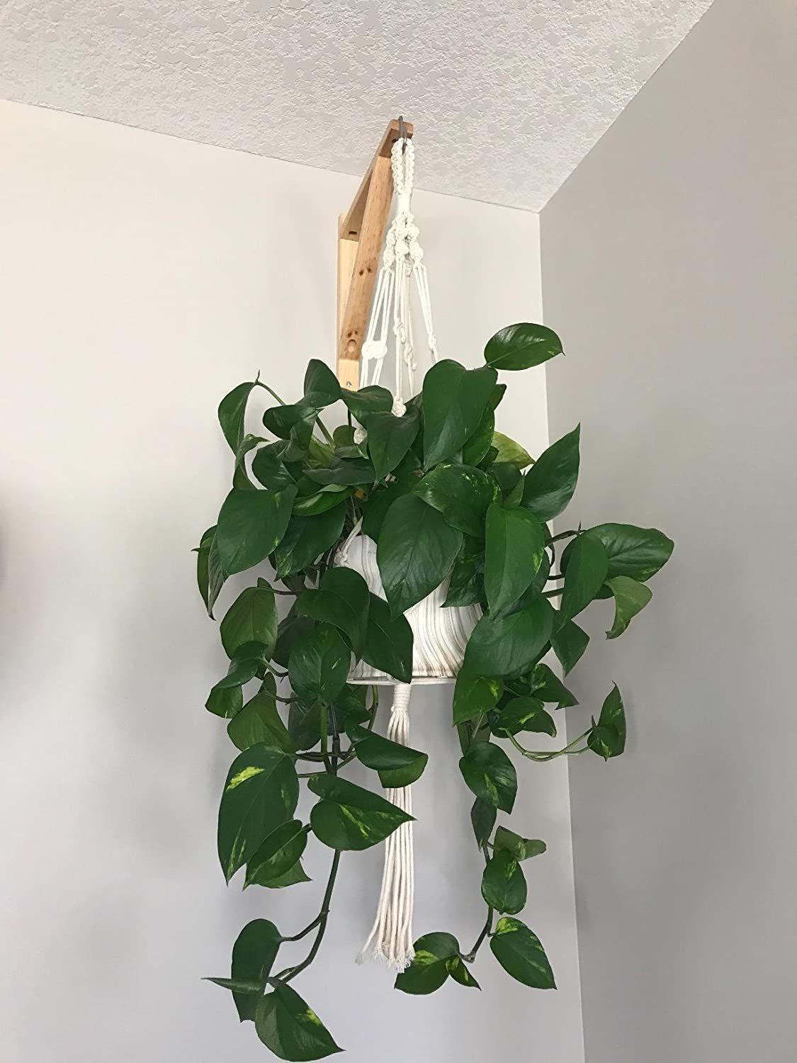 71CM34f3jdL._AC_SL1500_