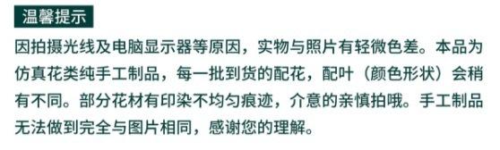 图像 31.jpg