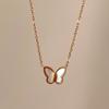 Collar de Acero de Titanio para Mujer, Estilo de Nicho de Lujo Ligero, Nuevo Modelo 2026, Cadena de Suéter de Gama Alta, Accesorio de Cadena para Clavícula, No se Desvanece