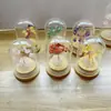Árvore de Cristal Natural, Flor Eterna, Enfeites de Mesa, Árvore de Dinheiro de Cristal, Garrafa dos Desejos, Árvore de Dinheiro, Artesanato de Cristal Atacado