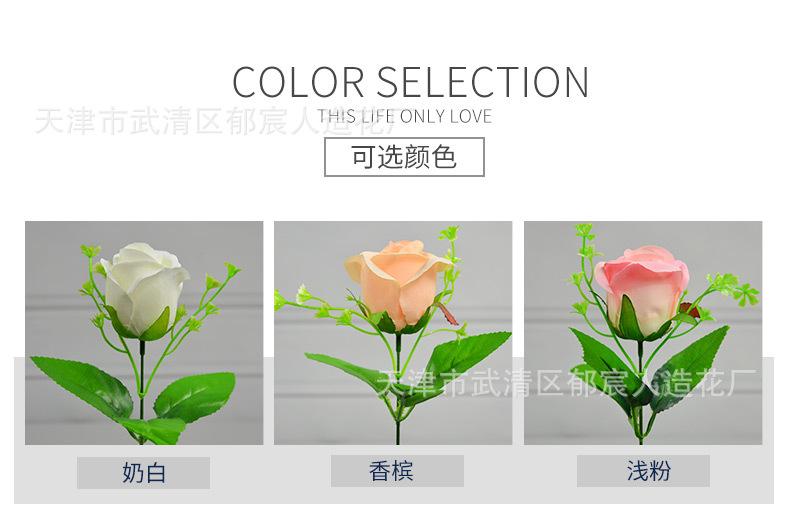 详情_02.jpg