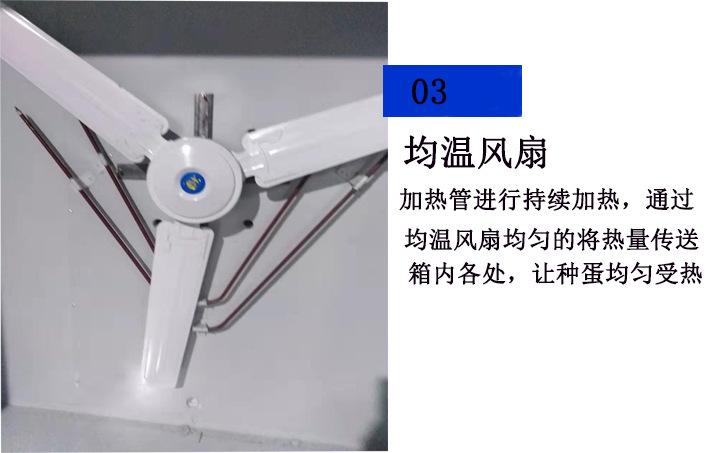 蛋车03
