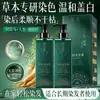 Nuevo Tinte para el Cabello de Agente Único de Segunda Generación Mejorado Venta al por Mayor Crema de Tinte para el Cabello Saludable Natural a Base de Plantas para Teñir en Casa para Cubrir el Cabello Gris