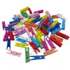Clips de chincheta 3.5 clips de madera coloridos Chinchetas de madera creativas para oficina Clips de madera de color mixto