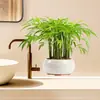 2025 Overover Fc1801 Hoja de Bambú Verde Pegatina de Pared de Plantas Removible y Compatible con Envío Transfronterizo, Antiestático e Impermeable