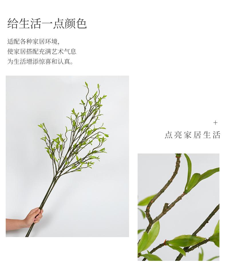 详情页改版_01.jpg