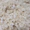 Goma de Pêssego Ninho de Andorinha Saponina Arroz 500g Embalagem Independente Sanbao Várias Especificações Combinação a Granel Pronta Entrega Atacado