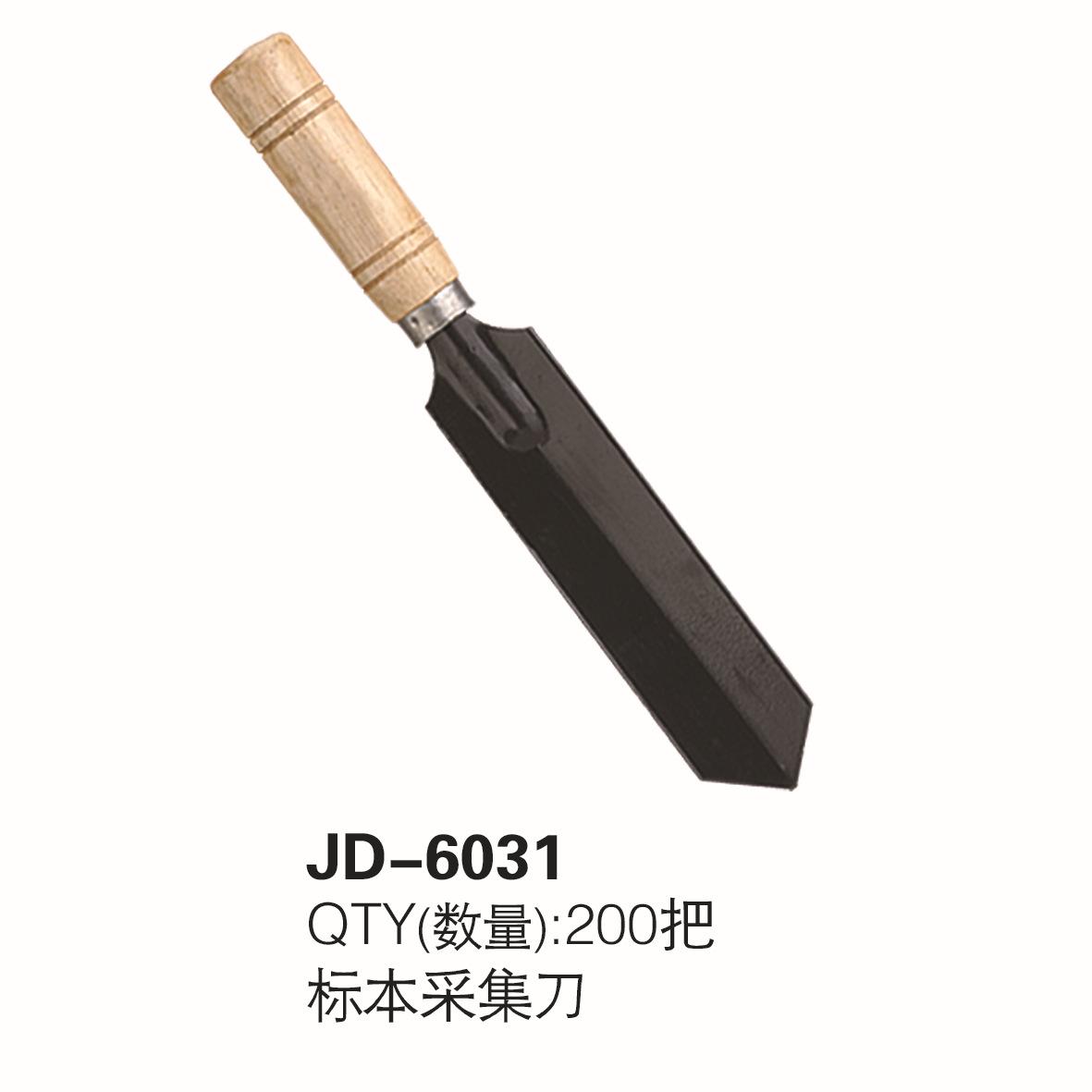 JD-6031