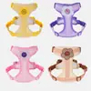 Guia de Cachorro para Cães Pequenos, Teddy, Bichon, Spitz Alemão, Coleira Peitoral, Guia para Passeio de Filhote, Corrente para Cachorro