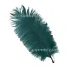 Directo de fábrica 20-25cm pluma de avestruz actuación en escenario Pluma blanca boda decoración DIY pluma de avestruz al por mayor