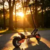 Patinete eléctrico plegable de alta potencia para adultos, 11 pulgadas, tracción simple/doble, frenos de disco delanteros y traseros, todoterreno transfronterizo, para transporte de pasajeros