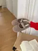 Chinelos de Pelo com Solado Macio para Mulheres, Versátil Celebridade da Internet 2025 Novo Outono e Inverno Roupa Externa, Sapatos de Lã de Cordeiro Mais Pelúcia Plush, Chinelos de Algodão, Modernos