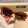 S5009 Gafas de Sol Unisex de Moda Ligeras con Montura Irregular Estilo Ojo de Gato Venta al por Mayor Marco Negro Clásico Gafas de Sol Color Té